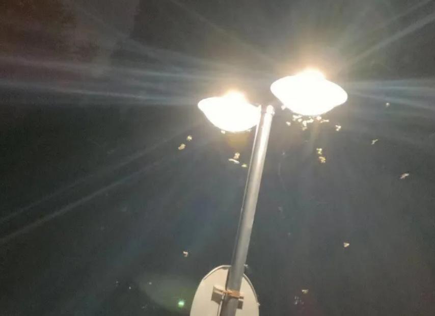 鍥涘窛鏉戞皯涓瘨,鍥涘窛鍐滄埛涓瘨