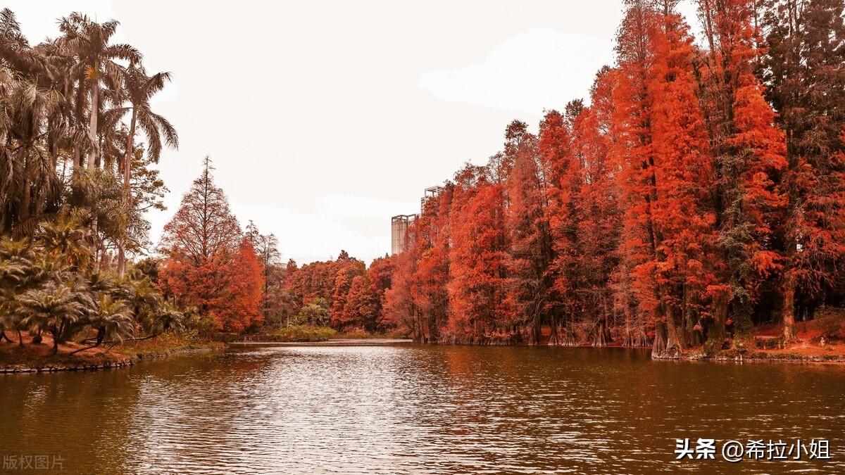 广州旅游：来广州一定要去的14个景点，你都打卡了吗？（上篇）