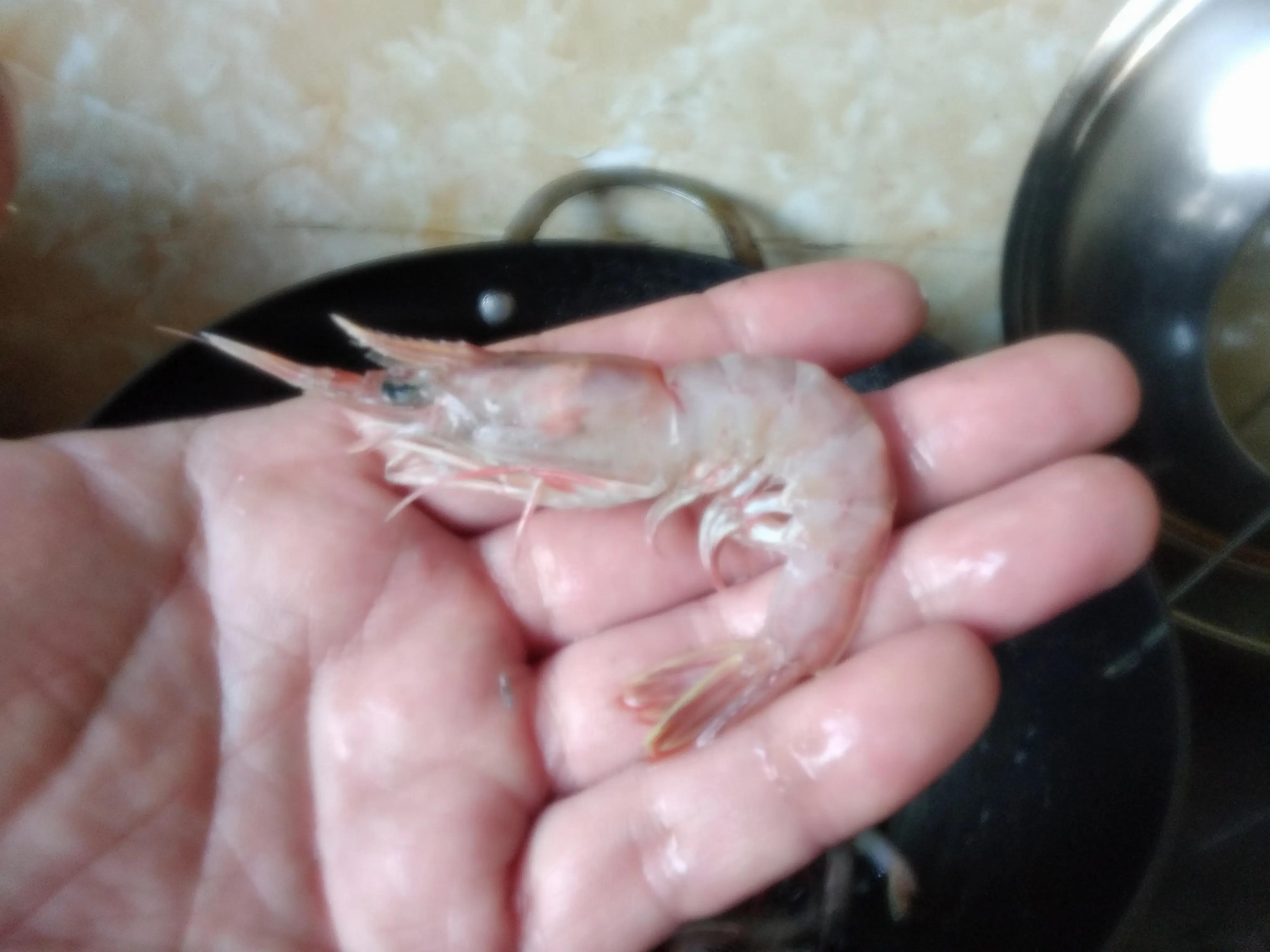 什么季节的海虾最便宜,海虾一般几月份大量上市