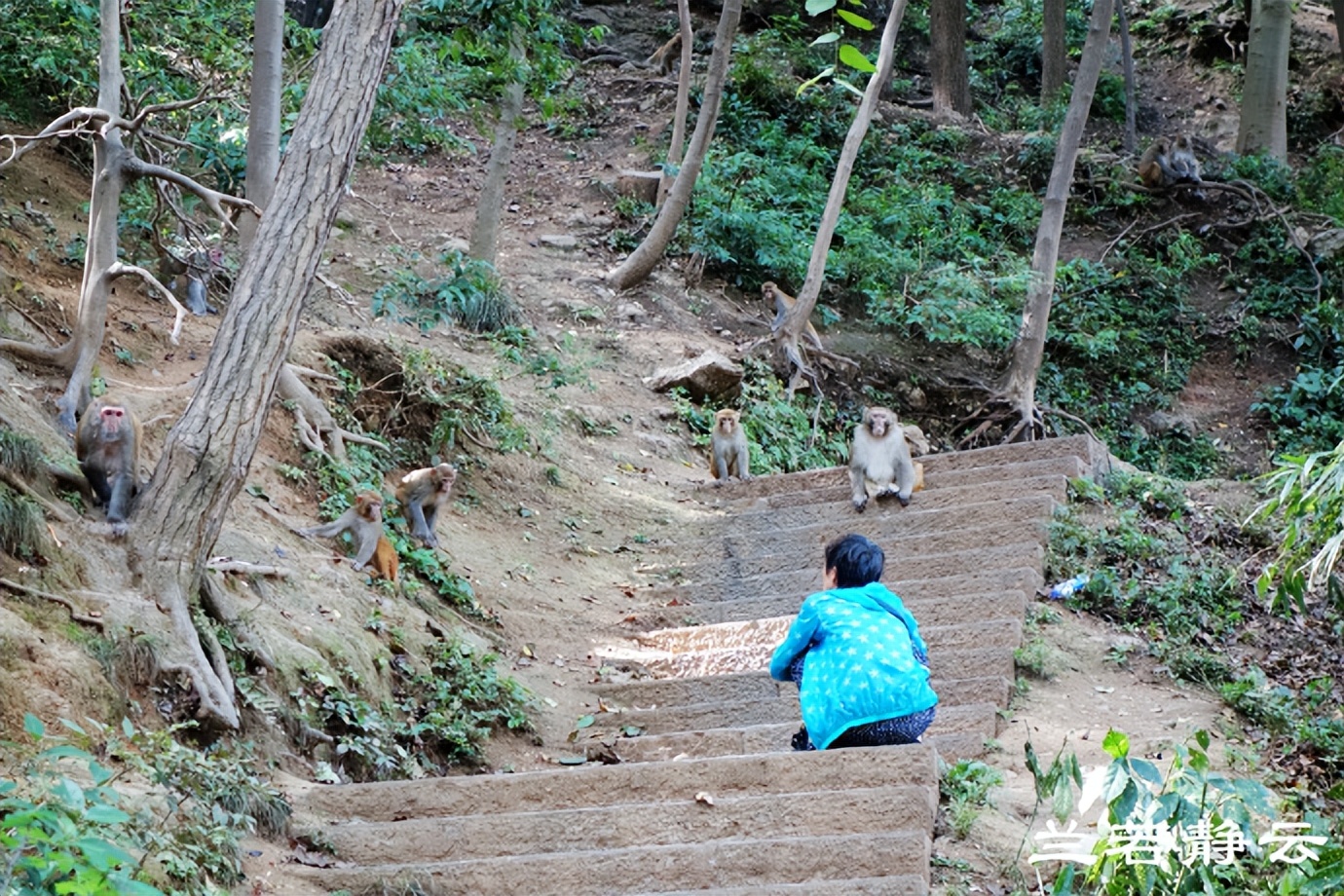 贵阳多彩贵州位置,贵阳多彩贵州城风景区