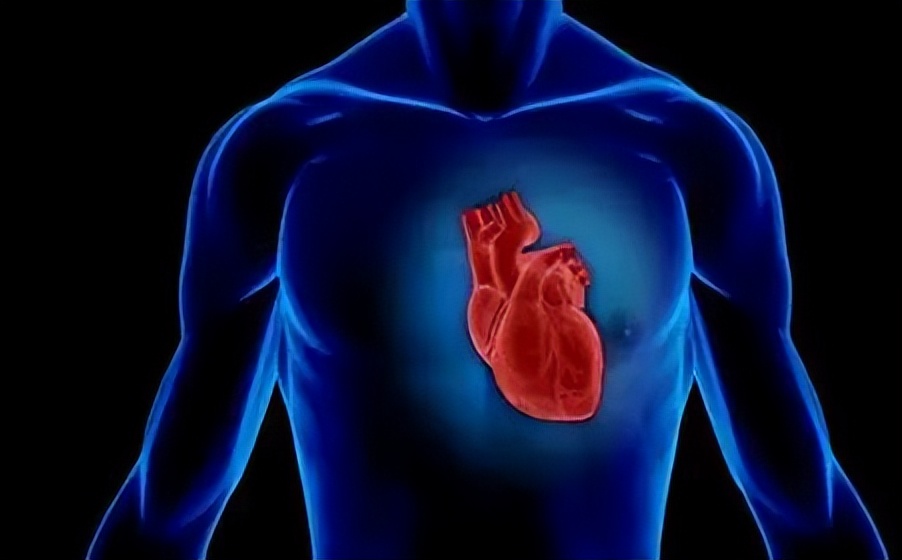 饼干里的植物油健康吗,面包黄油是不是甜品黄油