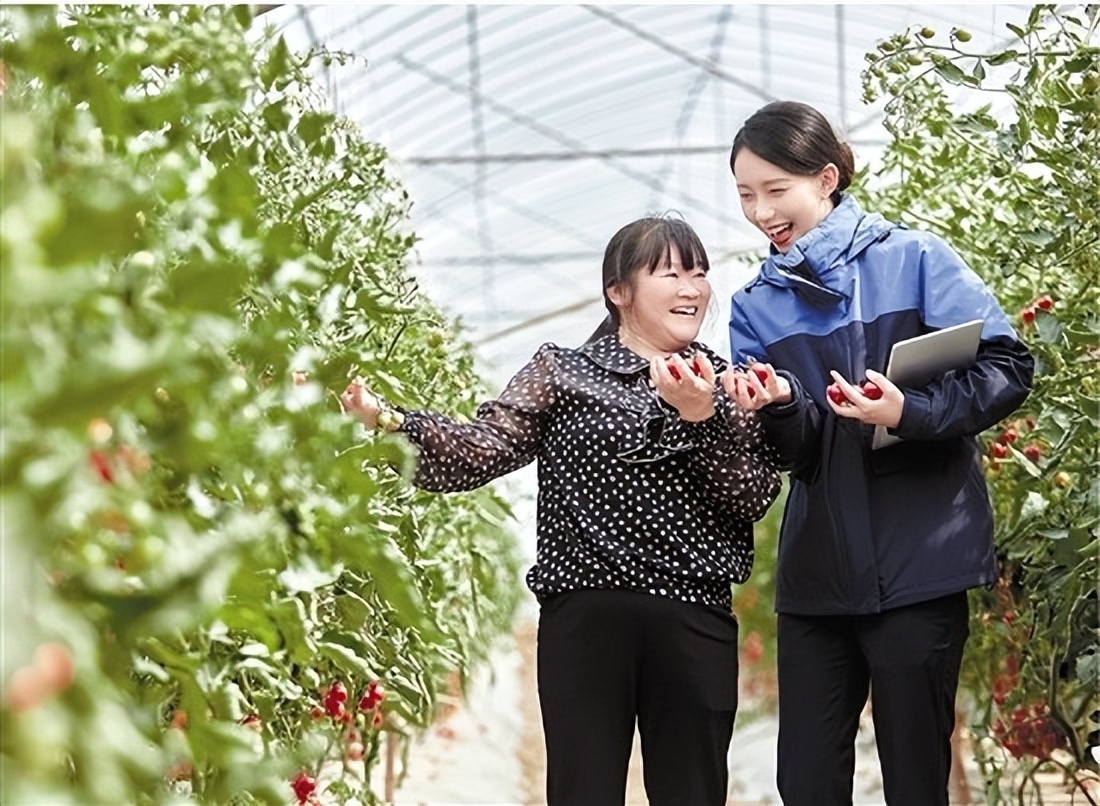 台州银行的发展策略,台州银行成长储蓄五年