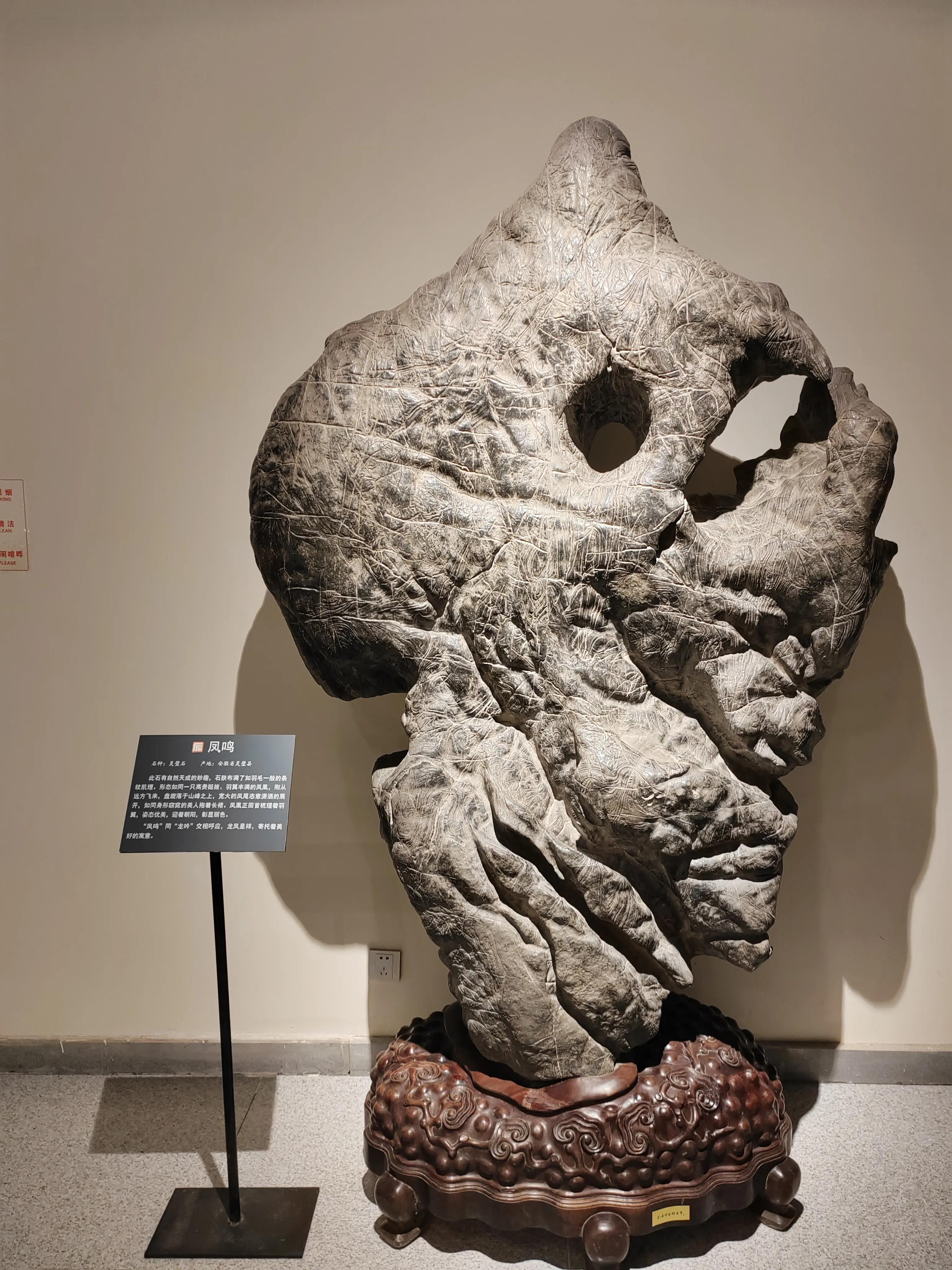 参观青岛博物馆,参观青岛葡萄酒博物馆感受