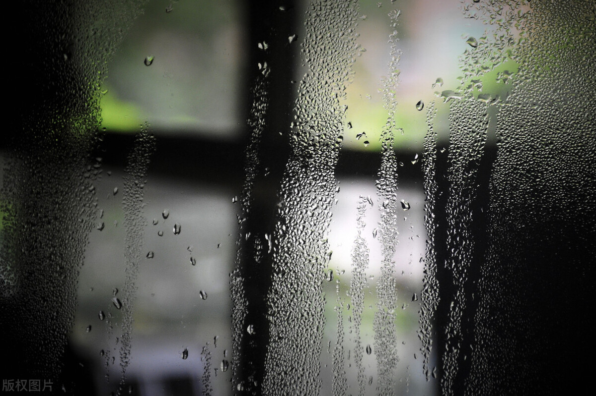 回南天墙壁全是水用什么材料防潮,回南天墙面潮湿怎么补救