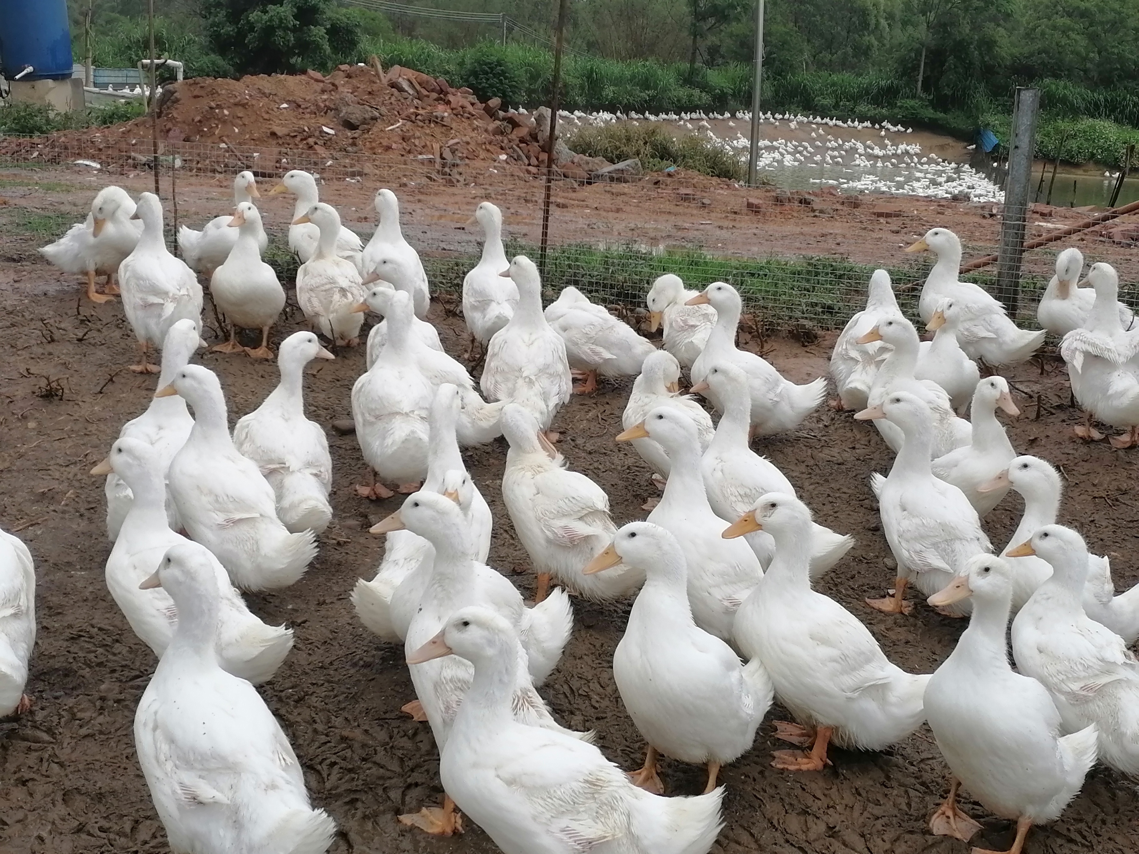 越没钱的时候越应该怎么做,为什么越能干的人越没钱