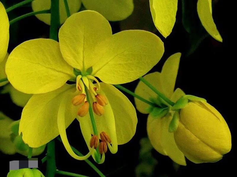 国色天香秀色可餐的美女 (秀色可餐与国色天香)