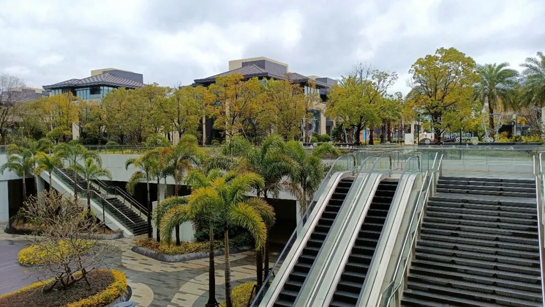 厦门值得住的酒店推荐,厦门旅游酒店测评