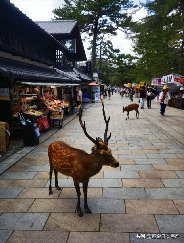 上海人在日本定居,上海人到大阪定居
