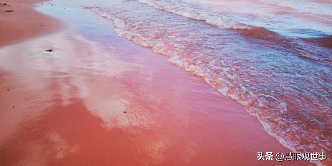 语文古诗词必背大全,古诗词考试必背诗句