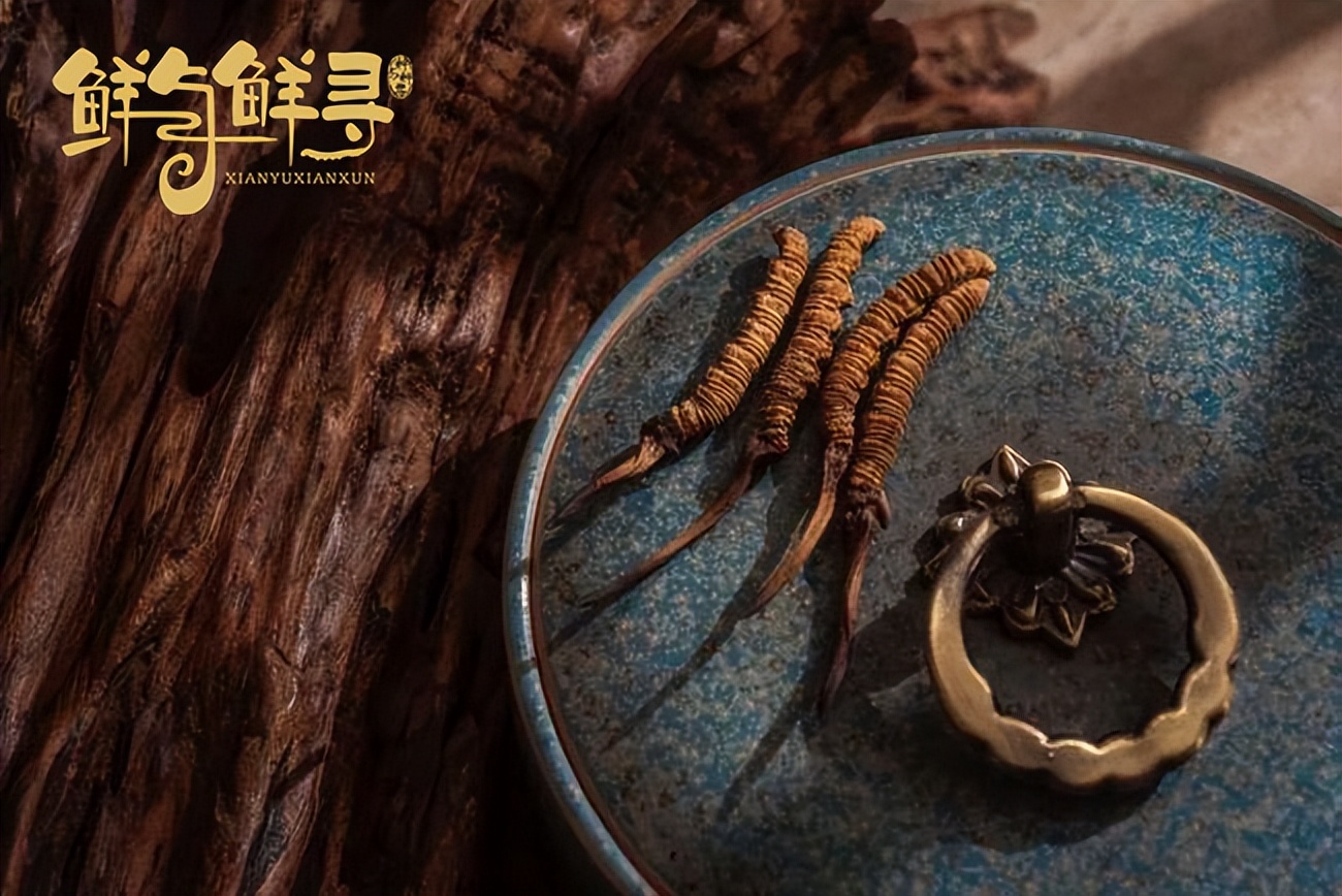 冬虫夏草鲜草为什么比干草便宜,冬虫草鲜草和干草区别