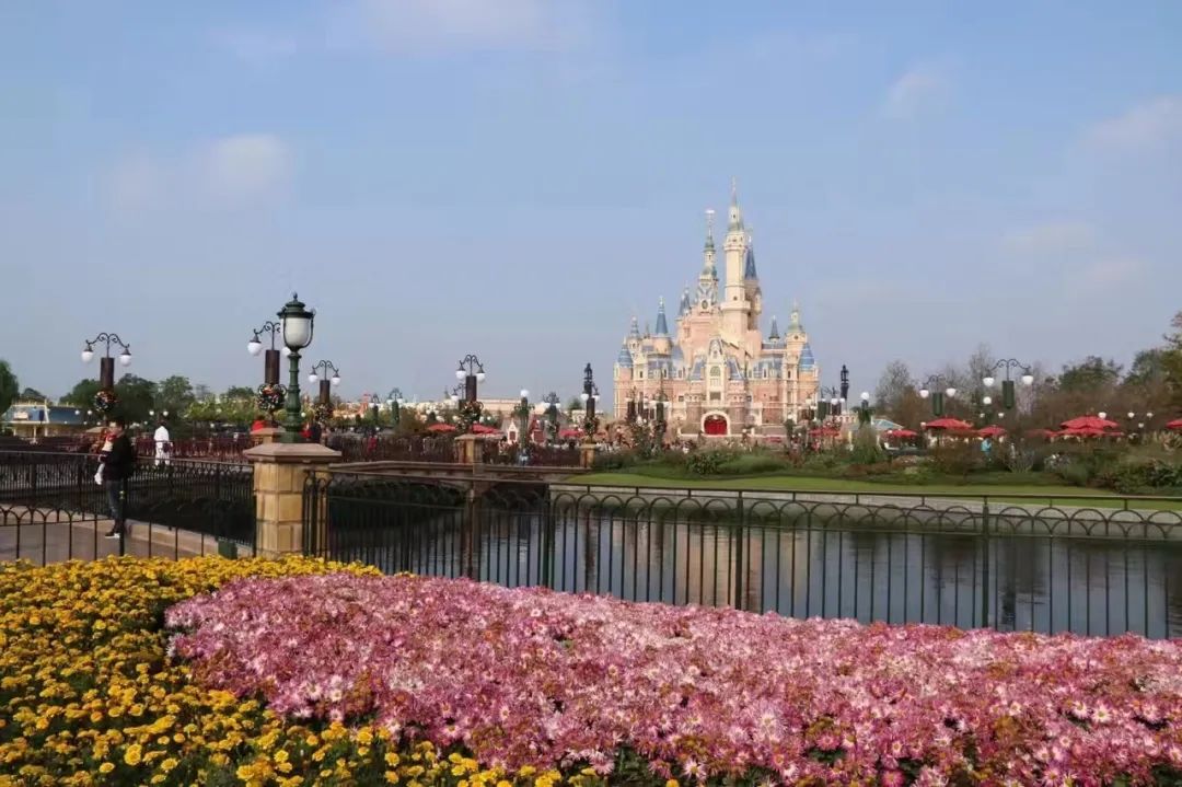 迪士尼保姆游玩教程,上海迪士尼度假区一日游攻略