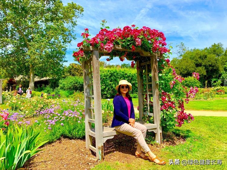 世界花园风景,世界花园