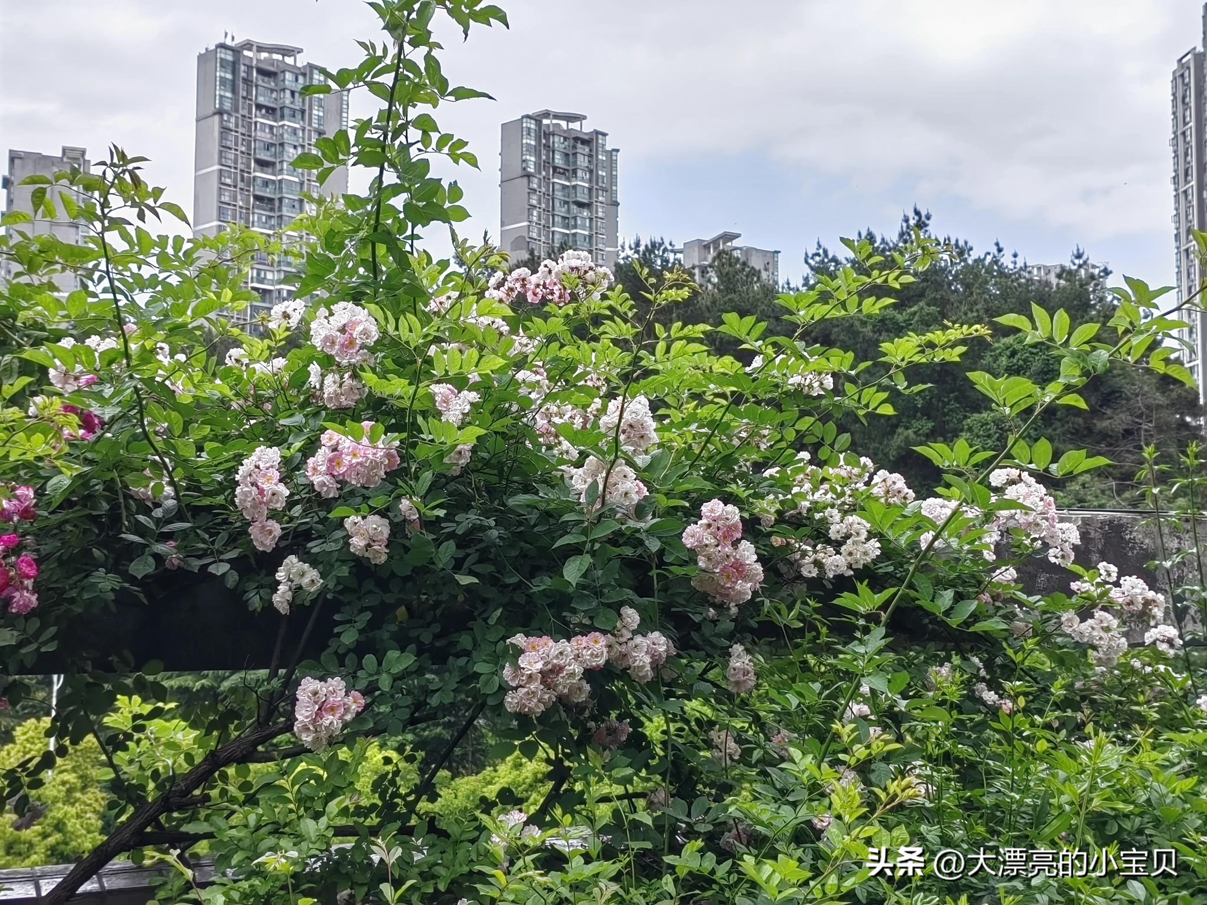什么样的关系能称得上是朋友,什么样的关系才算熟