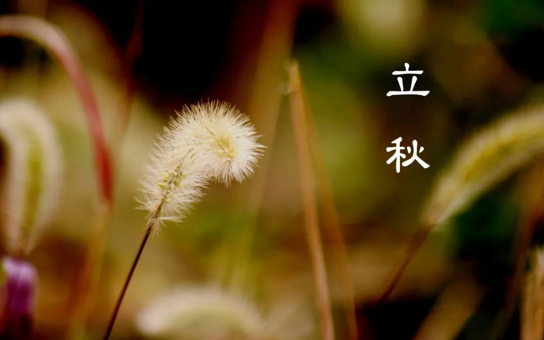 立秋的经典诗词,立秋最好的十首诗词