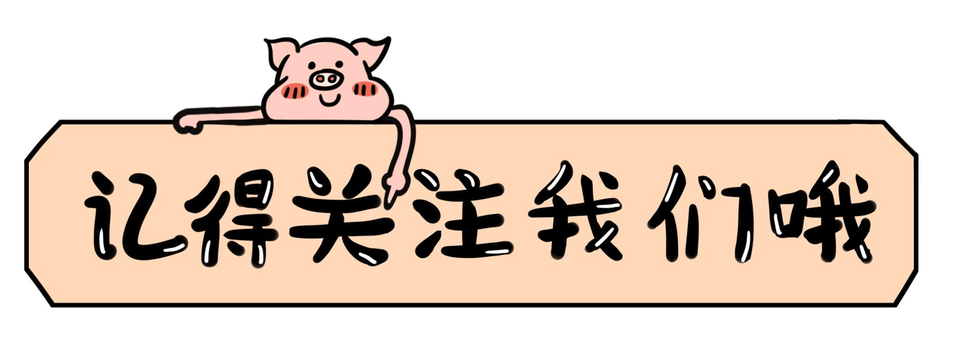 走进朝鲜，朝鲜豪车以德系为主，中国汽车被换标秒变“朝鲜国产”