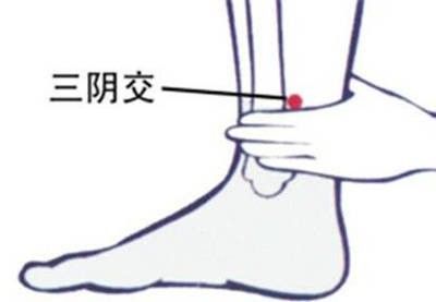 治疗地中海型贫血：不仅仅是补铁！揭秘3穴位调理，助于养血活血