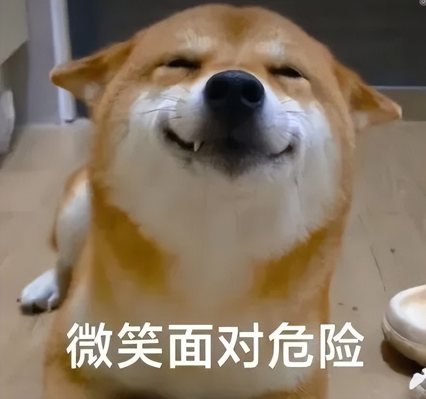 出现奇怪的小虫子怎么消灭,出现虫子怎么办