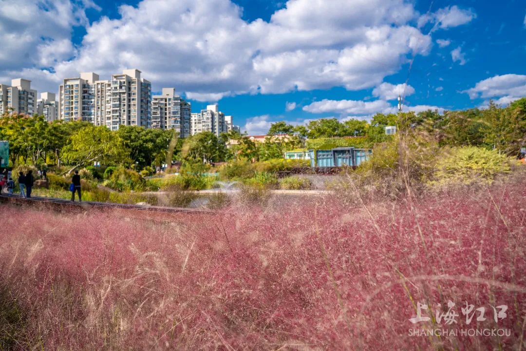 云淡风轻的晴朗天气,云淡风轻好天气