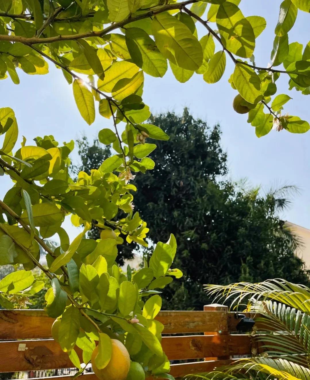 35宀佸皬濮愬鎶よ偆淇濆吇,35宀佸皬濮愬鏃ュ父鎶よ偆