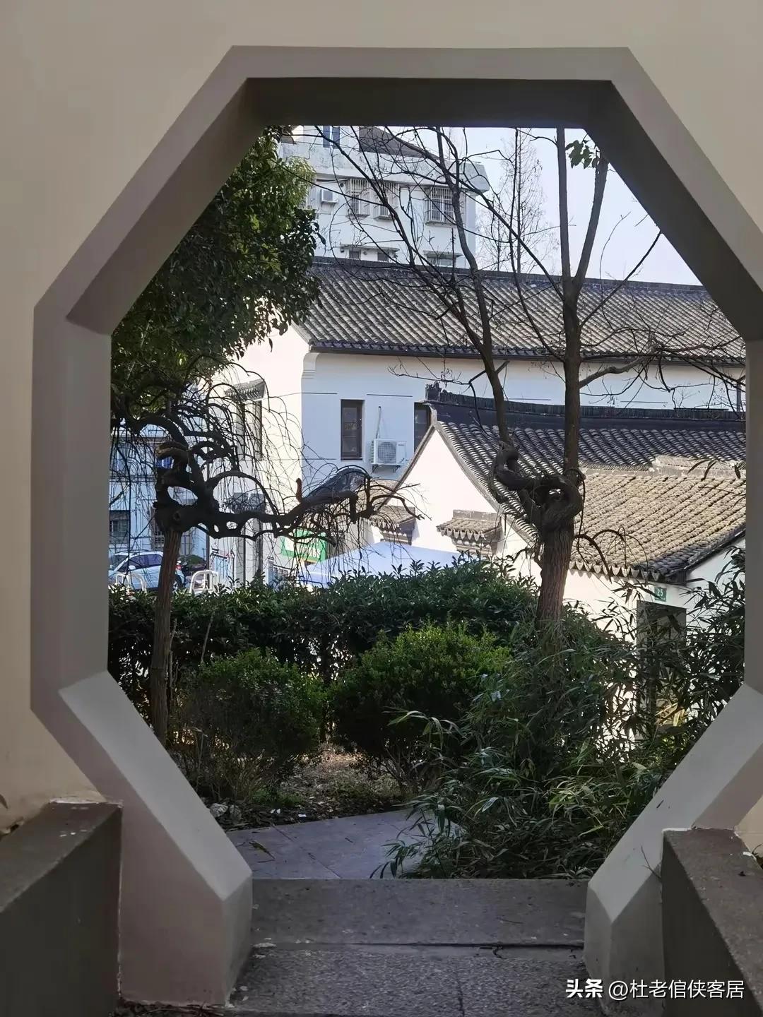 如风往事之——漫谈油菜花开与“白塔”