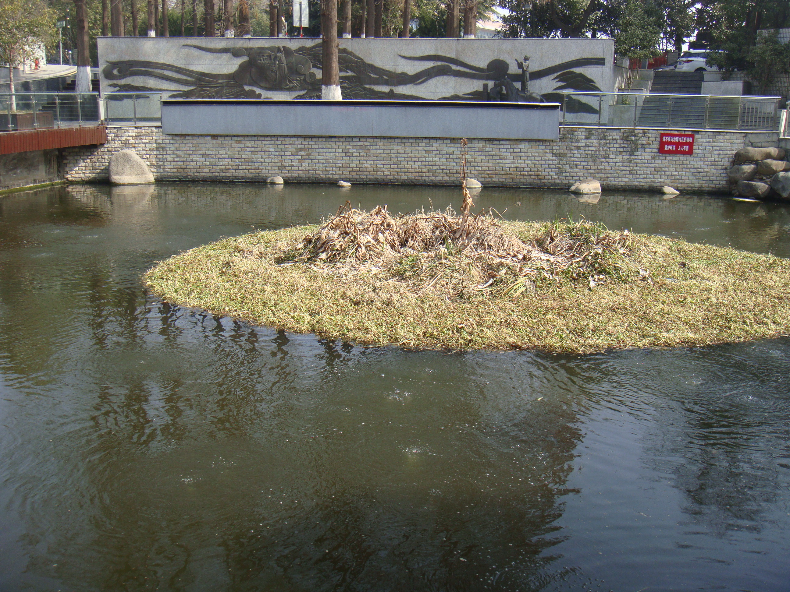 东山公园登顶看美景,东山公园景区游记