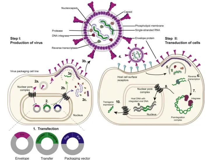 叮咚快来查收这份过年必备指南,叮咚请收好这份灾害防御指南