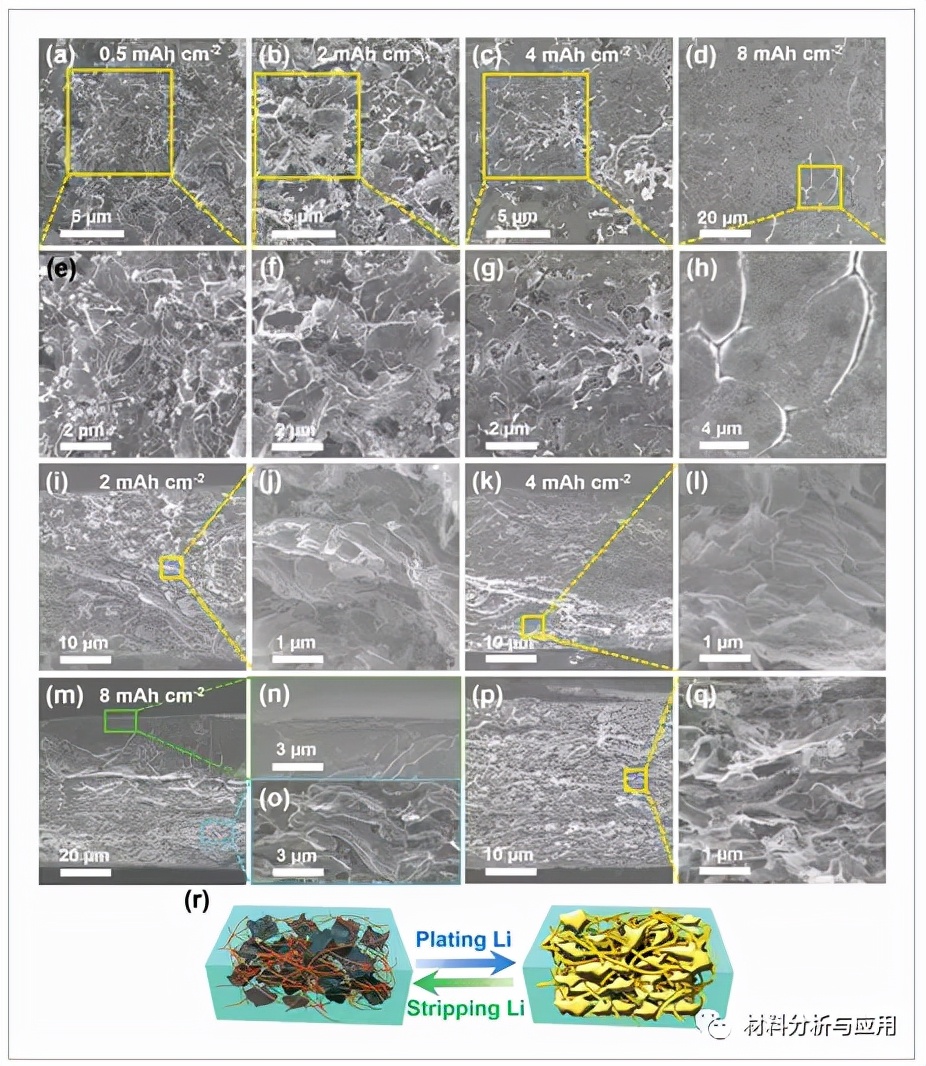 天大:碳纳米纤维/石墨烯纳米片复合支架用于无枝晶锂金属阳极