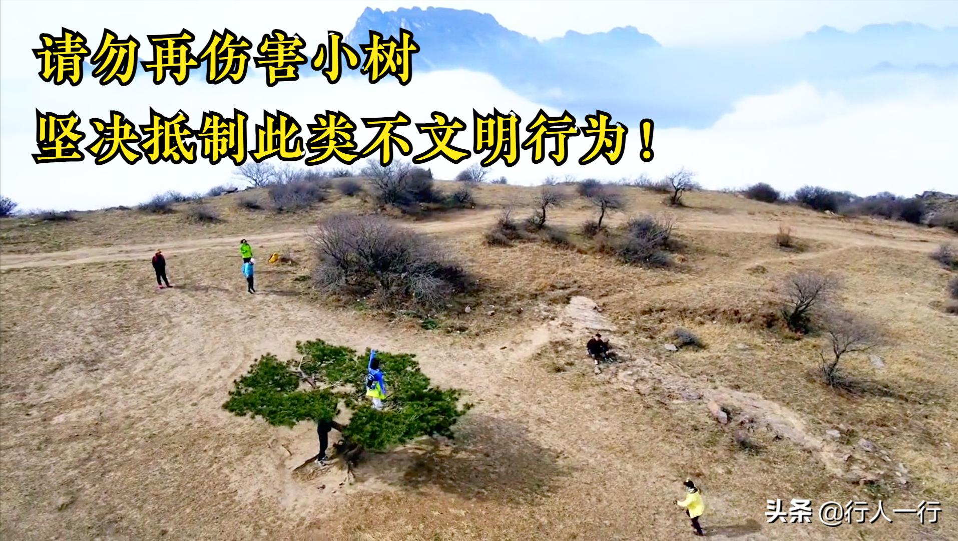 郑州周边夜晚露营地推荐,郑州露营旅游地点推荐