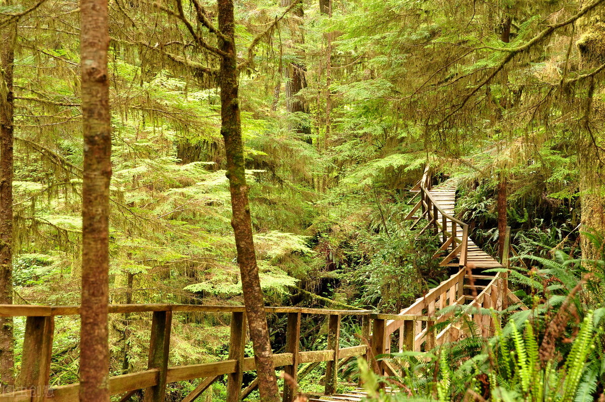 19个关于“俄罗斯”的冷知识，很多俄罗斯人都不清楚，您知道多少