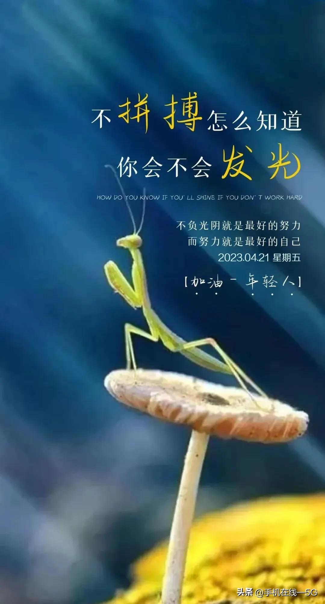 历史上的今天2023.09.07,【历史上的今天】2023.09.19