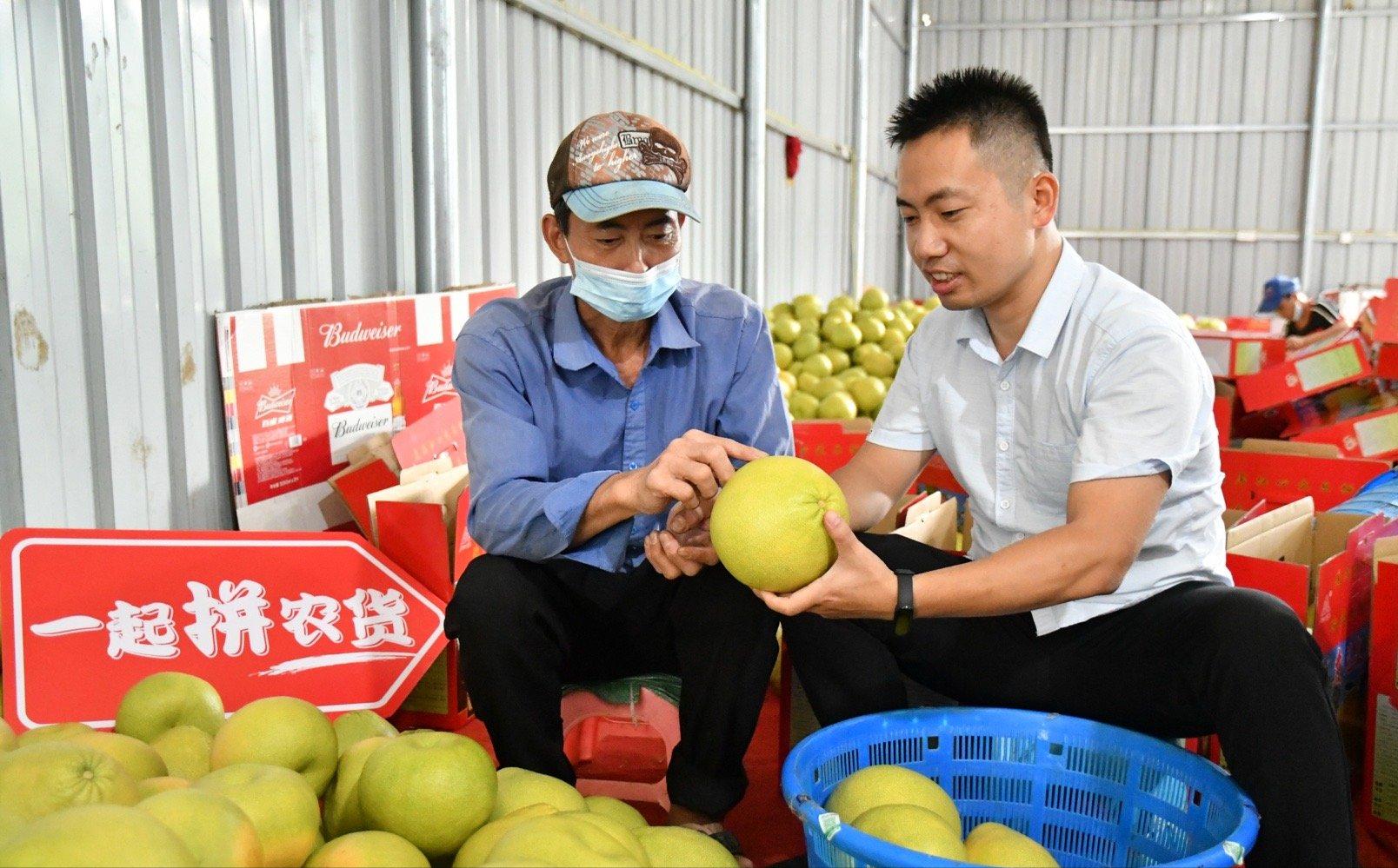 买东西是淘宝便宜还是拼多多便宜,拼多多网购便宜还是淘宝网购便宜