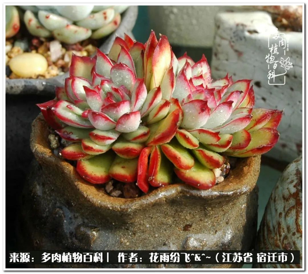 回味童年无忧无虑的快乐时光,童年最快乐的时光