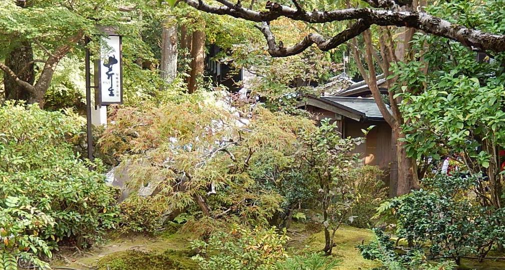 浜兘閰掑簵鎺ㄨ崘鏃ュ紡,浜兘鏃ュ紡鏃呴鎺ㄨ崘