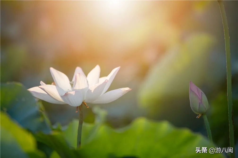 世界最大的梯田,世界梯田之最