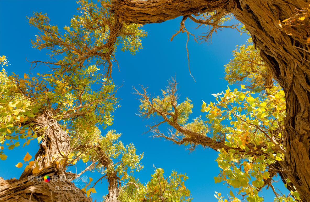 女司机带娃去新疆自驾游,带着女司机自驾游兰州