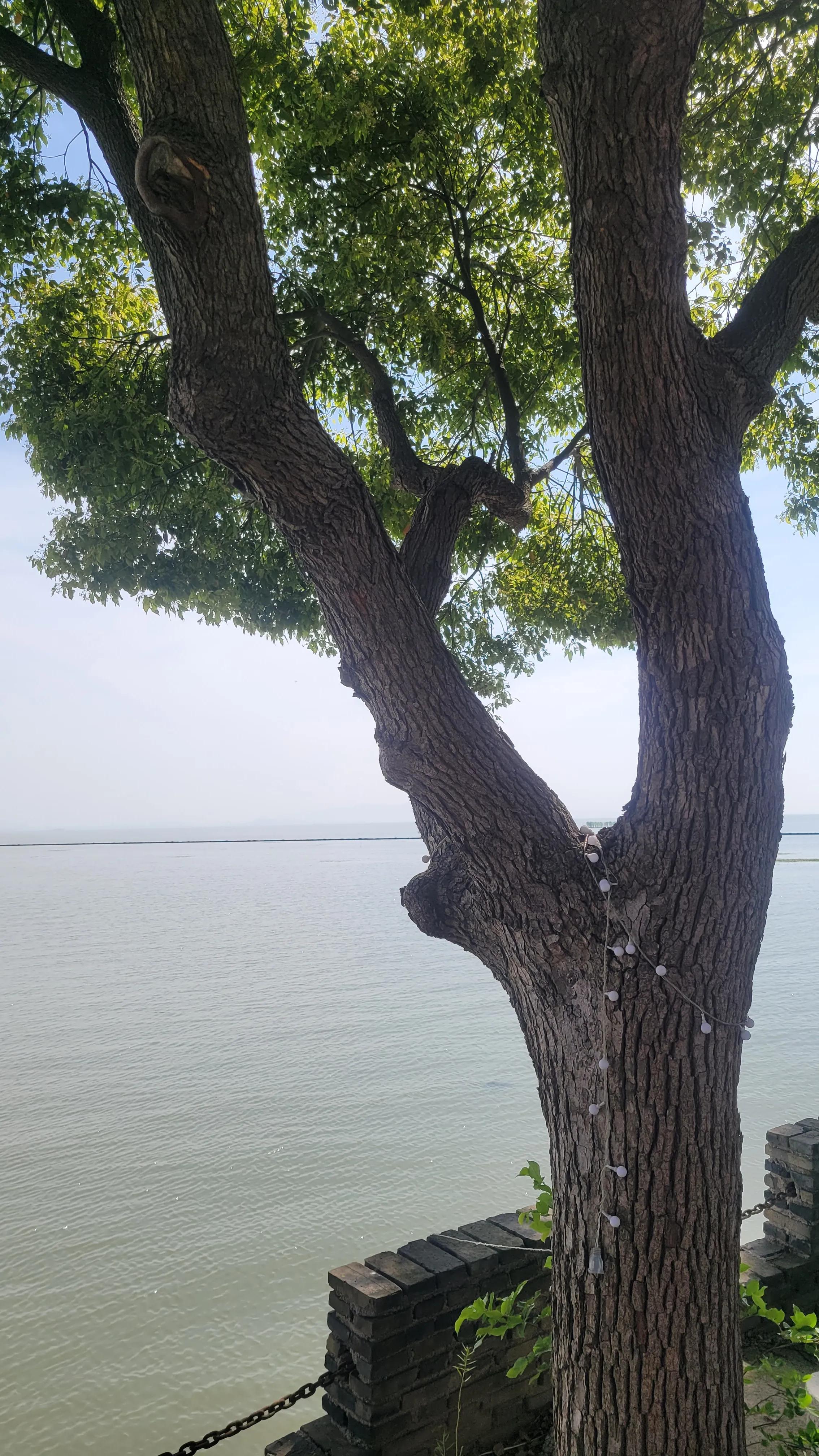 苏州西山古村探秘,苏州古村落景区在哪里