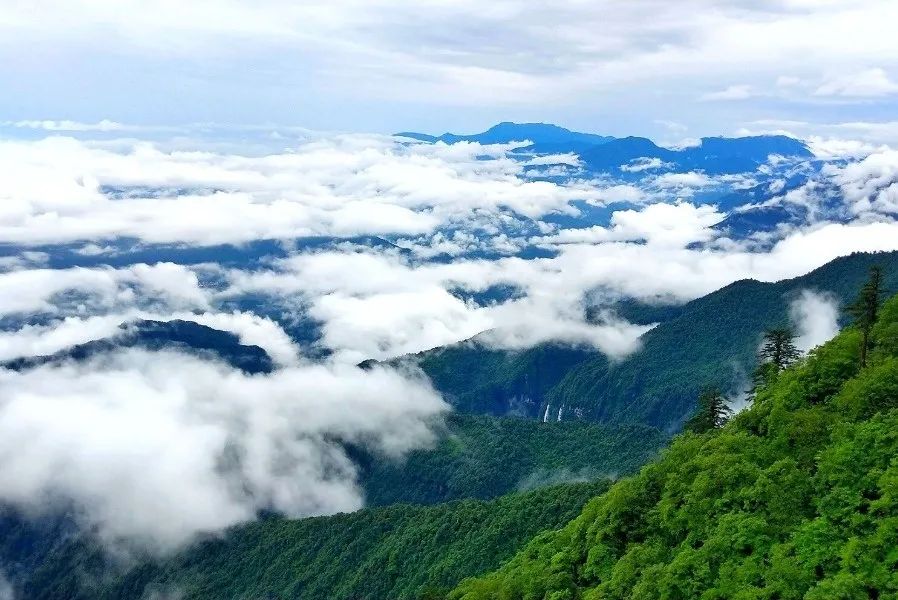 洪雅一个生你养你的地方,洪雅一个养你的地方