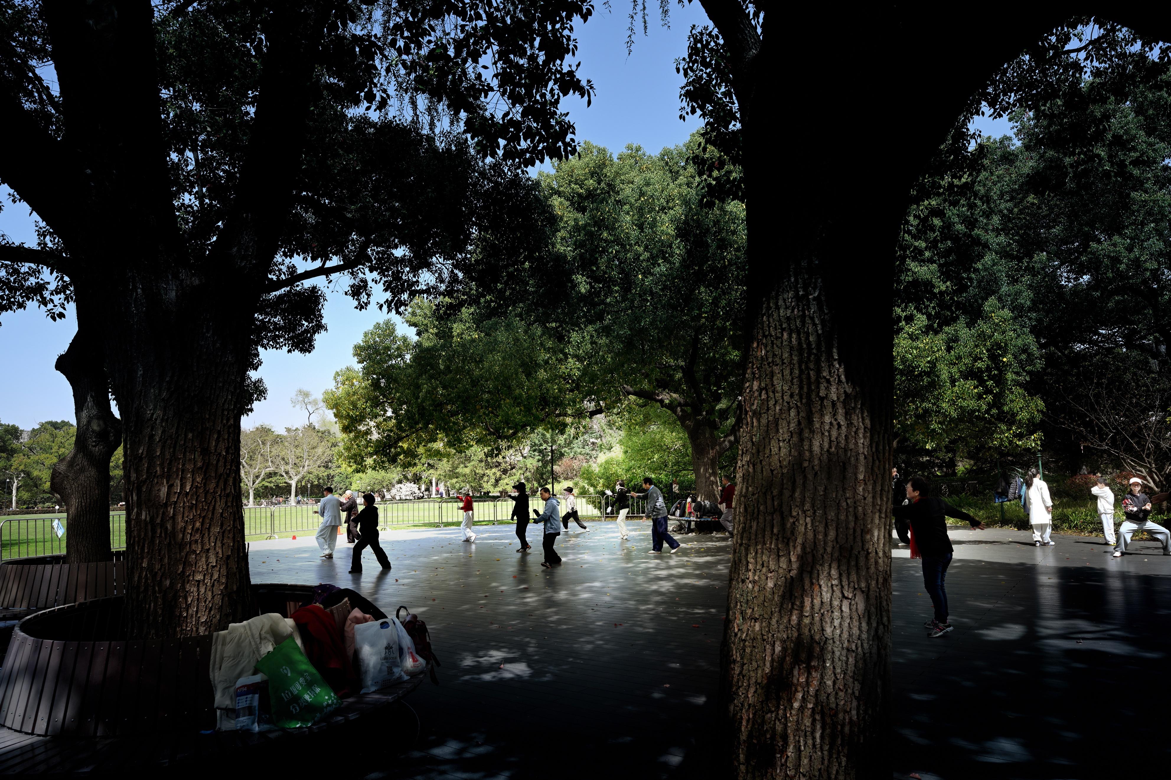 目前的上海中山公园,最新上海中山公园介绍