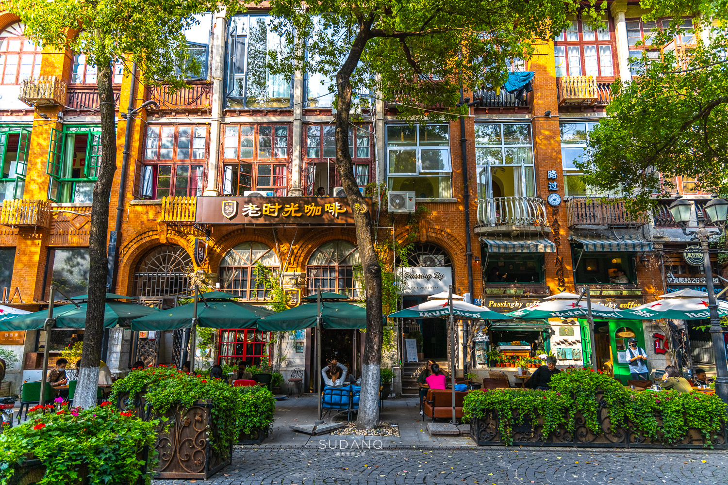 国外俩兄弟买了一栋别墅,武汉100年老房子带院子出售