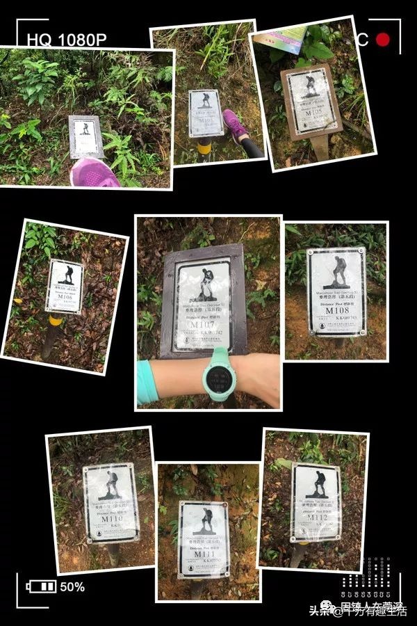 香港徒步麦理浩径全程攻略介绍,香港狮子山徒步攻略