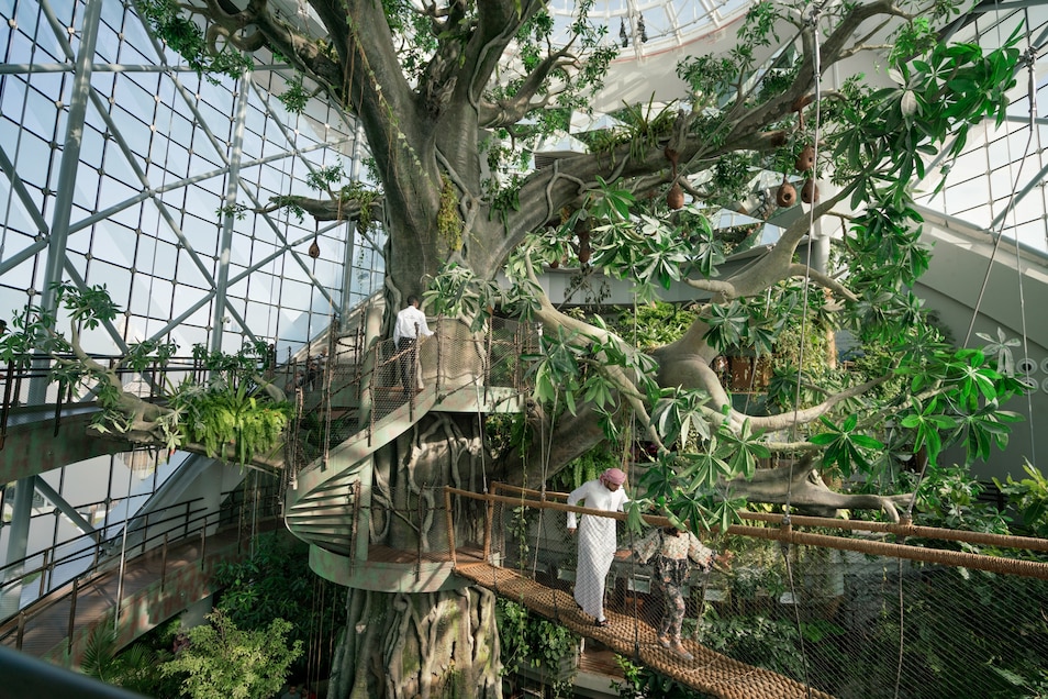 世界最震撼的二十个自然奇观,世界上超震撼的20个自然景观下集