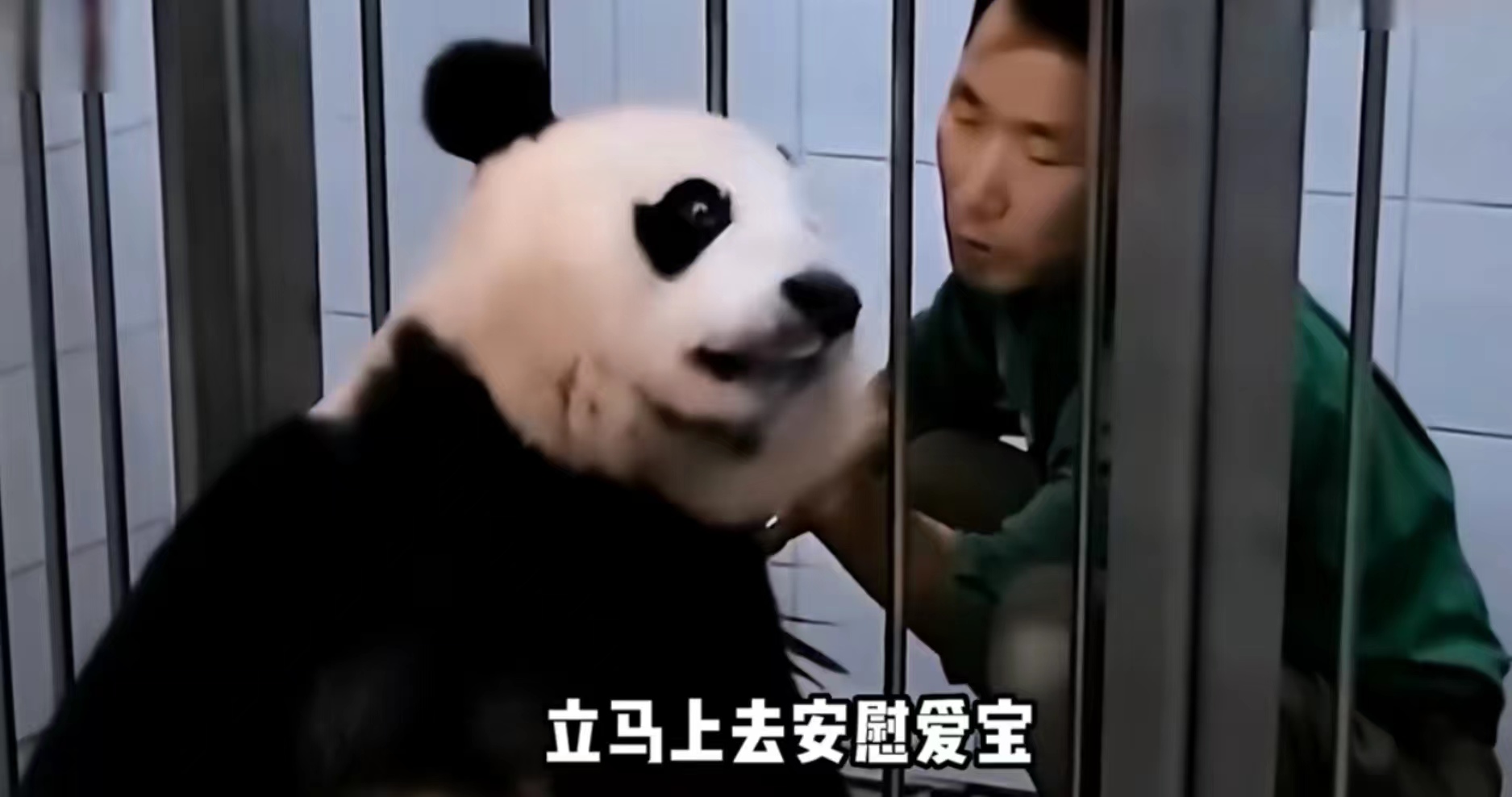 爱宝对姜爷爷有多信任,爱宝对姜爷爷的信任