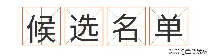 2019年出彩宣恩人,出彩宣恩评选结果公示