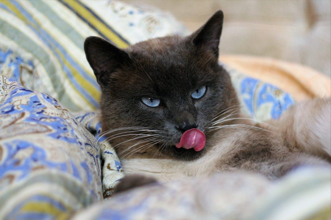 最真实的泰国图片,泰国十大风情图片高清版