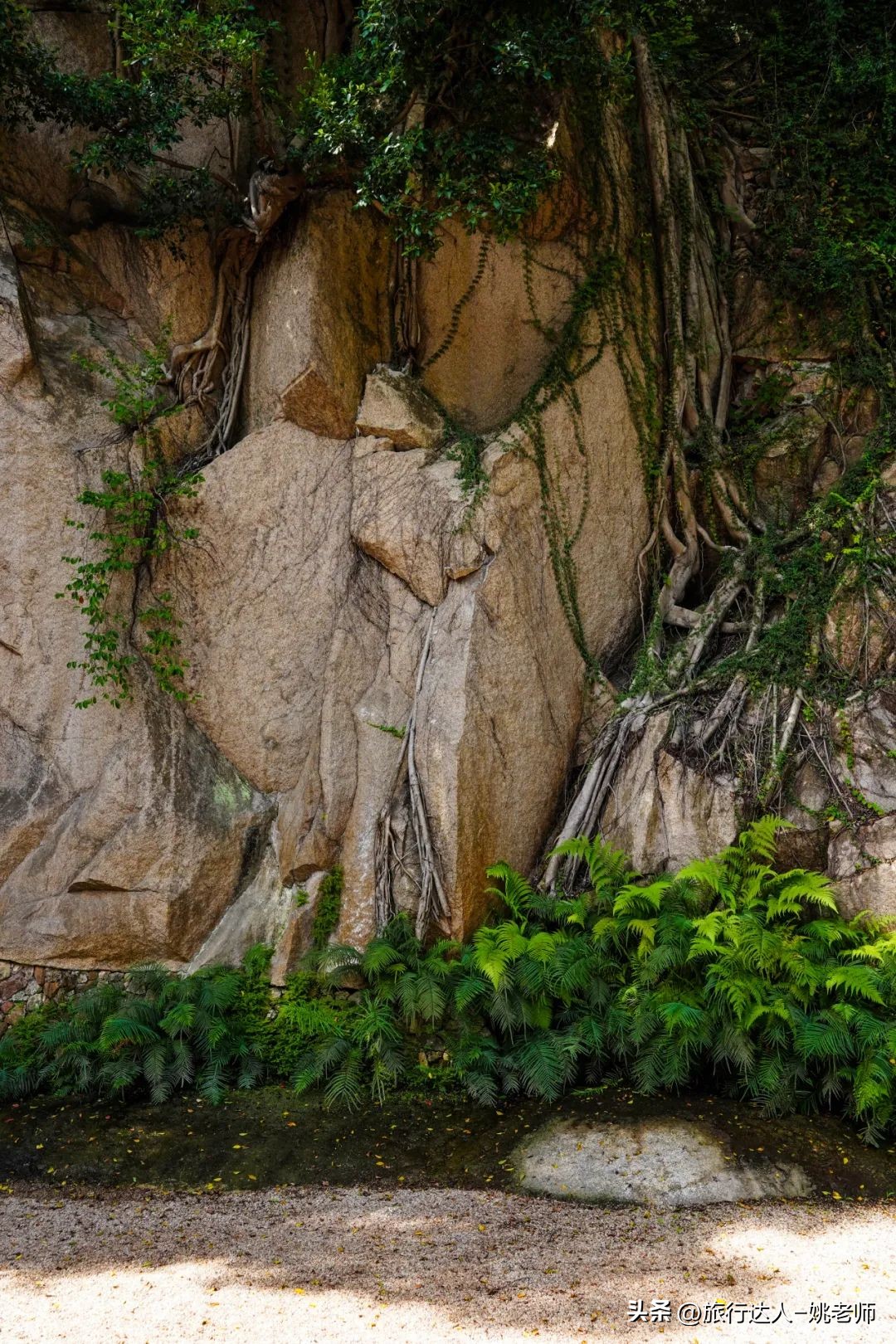 酒店民宿测评,酒店测评300一间房