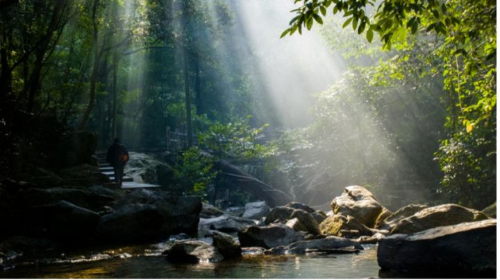 纯净水泡茶比自来水泡茶好喝,哪些茶用开水冲泡好喝又健康