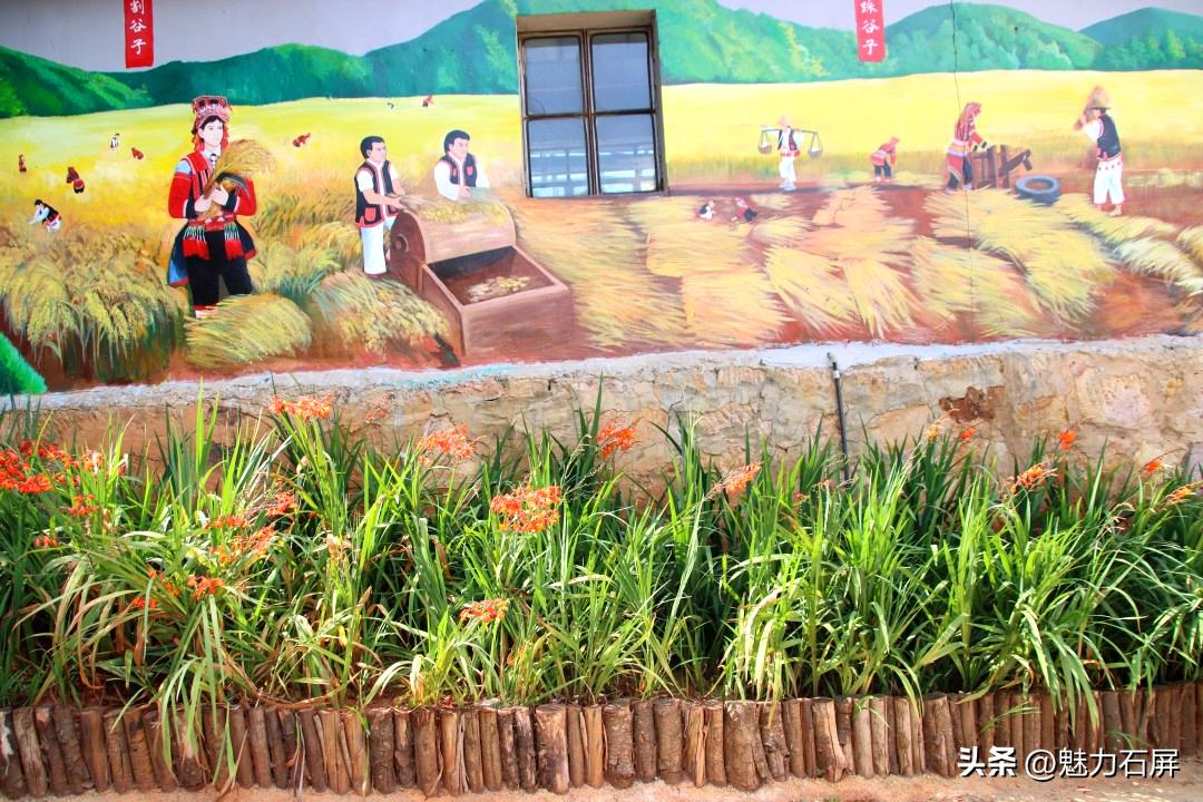 石屏哨冲拖黑村,哨冲镇拖龙黑村图片