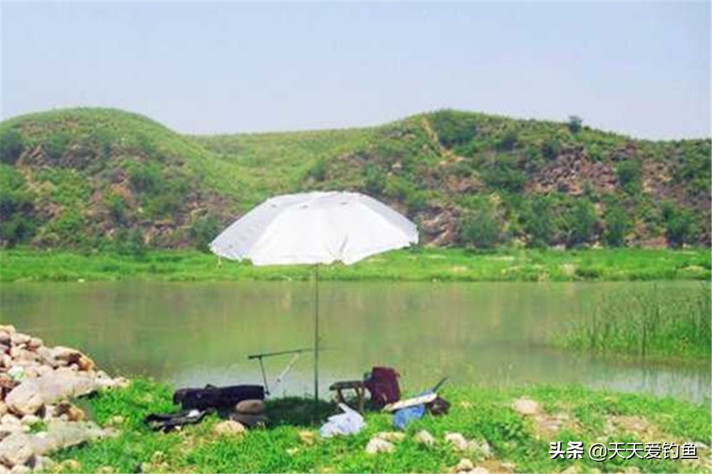 盛夏野钓，杂鱼多大鱼少，记住4个绝杀技巧，钓光各种小杂鱼