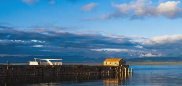 新手小白期货要会看图,新手期权