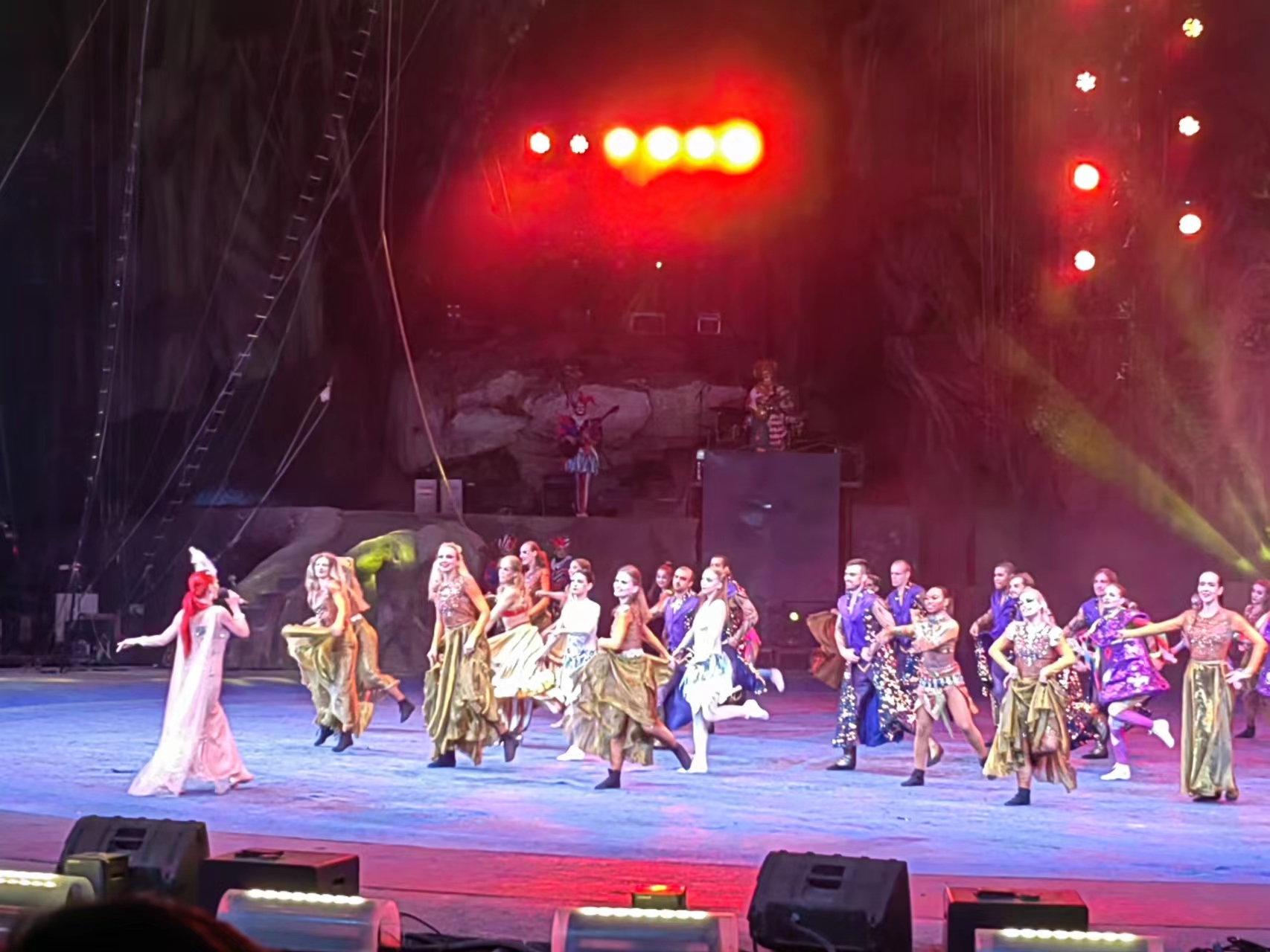 广州长隆遛娃游玩攻略,带小孩去长隆野生动物园怎么拍照